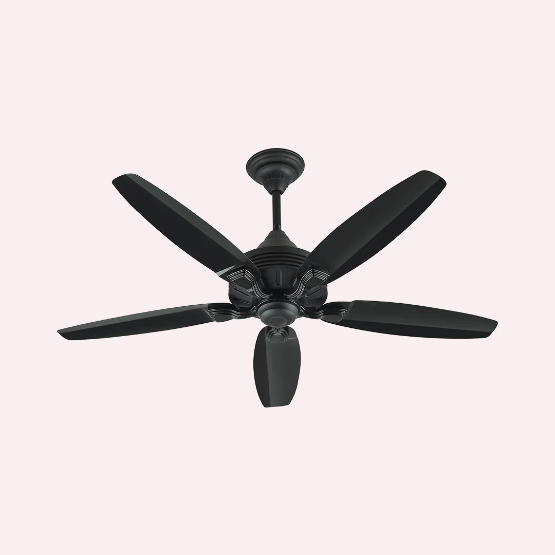 GRACE FAN - Image 3